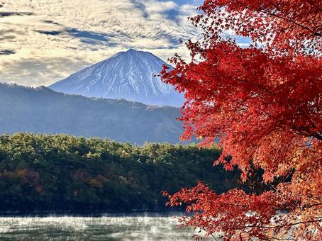 西湖と紅葉と富士山 富士山,紅葉,秋の写真素材