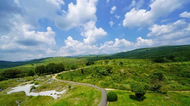 大自然 大自然 秋吉台,カルスト台地,美祢市の写真素材