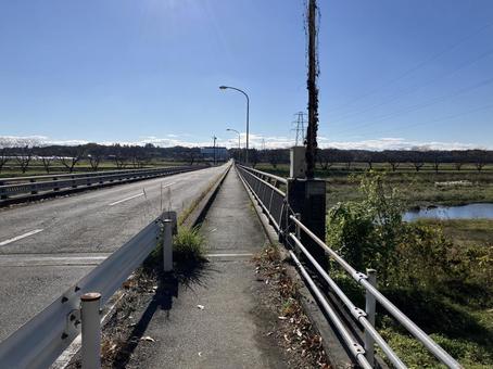 嵐山渓谷の桜並木（秋） 嵐山渓谷,嵐山,渓谷の写真素材