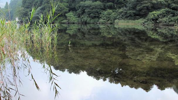 芦ノ湖の湖面に映る晩夏の風景 芦ノ湖の湖面に映る晩夏の風景の写真