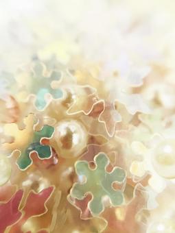 セルロイドの雪白_4520の写真