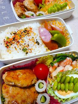 ある日のお弁当1 ある日のお弁当1 お弁当,弁当,手作りの写真素材