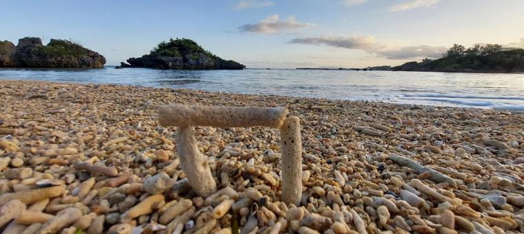 海岸 海岸の写真
