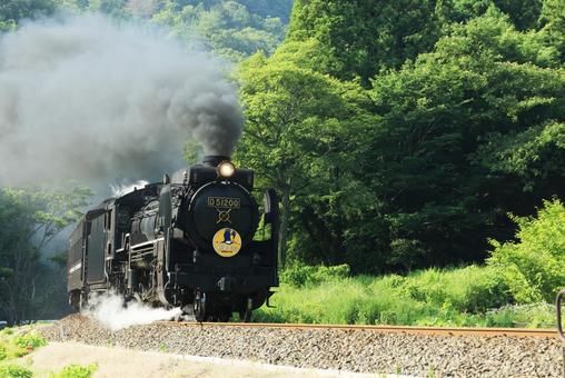 SLやまぐち号 D51 SLやまぐち号 D51の写真