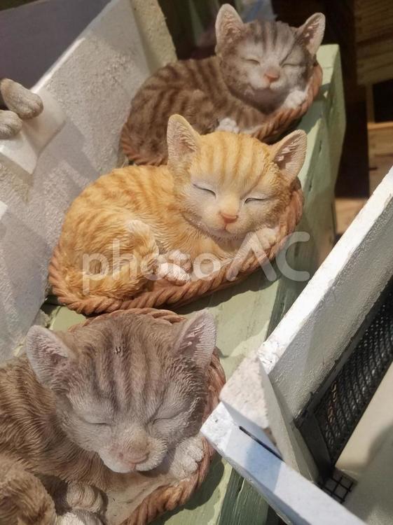ねこの置き物 ねこ,ネコ,猫の写真素材