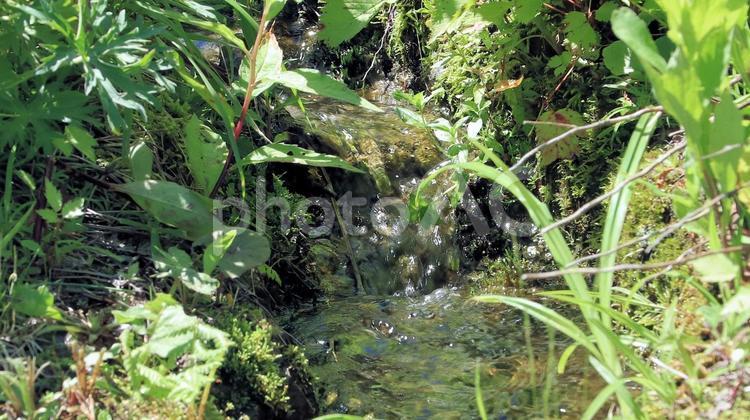 夏の白馬五竜を流れる雪解け水 白馬五竜高山植物園,夏山,雪解け水の写真素材