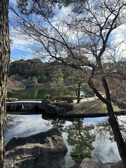 trees reflected in the water, the trees, water surface, reflection, JPG
