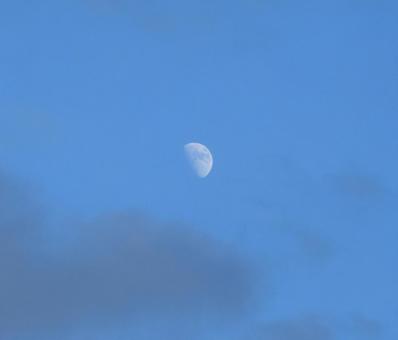 夕方の雲から覗く半月 夕方の雲から覗く半月の写真