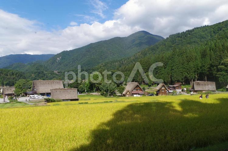 日本の原風景 山,野山,白川郷の写真素材