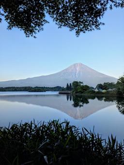 夕暮れの逆さ富士 夕暮れの逆さ富士 富士山,田貫湖,自然の写真素材