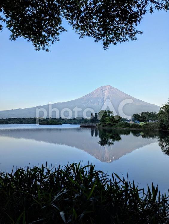 夕暮れの逆さ富士 富士山,田貫湖,自然の写真素材
