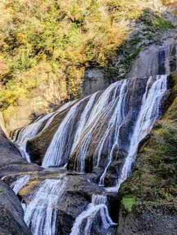 袋田の滝 袋田の滝 自然,風景,秋の写真素材