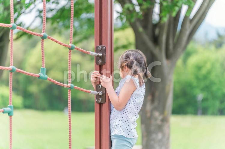 公園の遊具で遊ぶ・運動する子供の後ろ姿 遊具,遊ぶ,後ろ姿の写真素材
