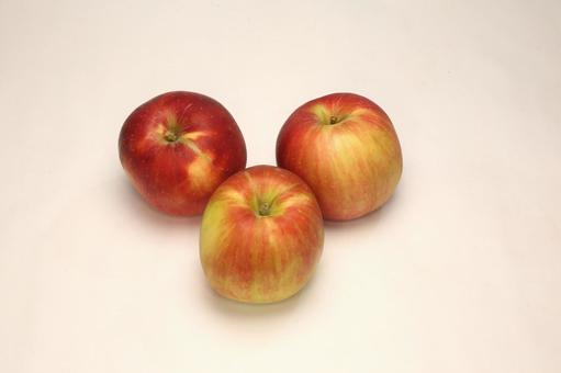 りんご紅玉 植物,果物,果実の写真素材