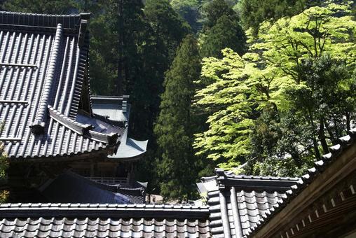 永平寺の瓦屋根 永平寺の瓦屋根の写真