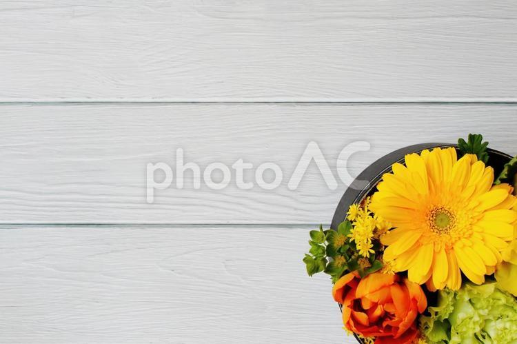 色鮮やかなボックスフラワーと白い木目背景 花,花束,植物の写真素材