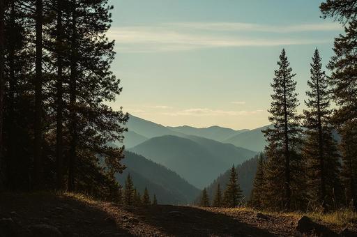 夕暮れの山々とシルエットの森 夕暮れの山々とシルエットの森の写真