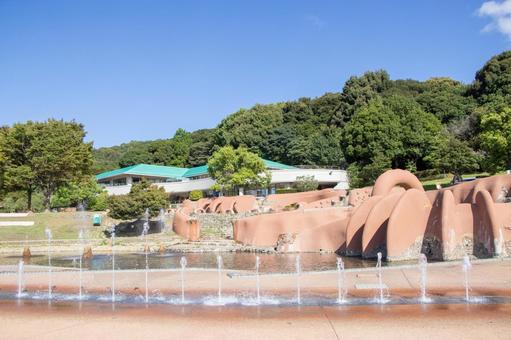 赤塚山公園 水の広場 赤塚山公園,水の広場,噴水の写真素材