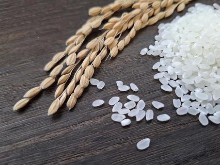 お米と稲穂_焦茶木目バック_4 お米と稲穂_焦茶木目バック_4 秋,秋の味覚,新米の写真素材