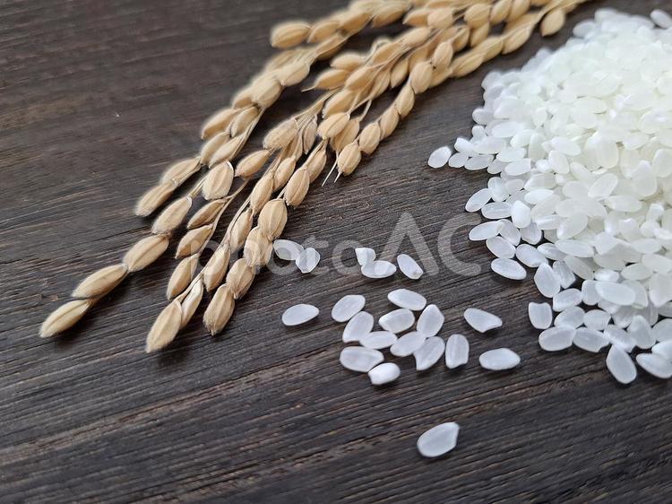 お米と稲穂_焦茶木目バック_4 秋,秋の味覚,新米の写真素材