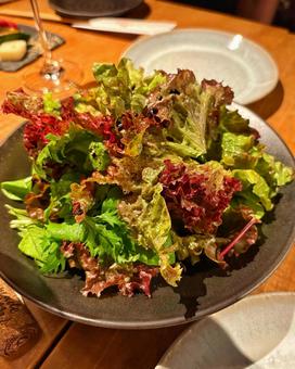 彩り野菜のグリーンサラダ サラダ,グリーンサラダ,野菜の写真素材