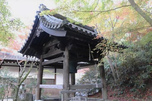 圓光寺　鐘楼 圓光寺,鐘楼,瑞巌山の写真素材