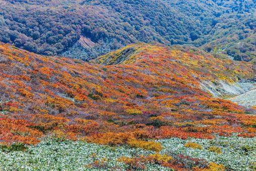秋色に染まる 栗駒山の絶景 秋色に染まる 栗駒山の絶景の写真