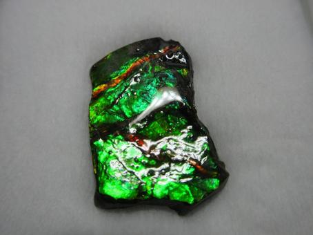 Photo, ammonite, fossil, mineral, 