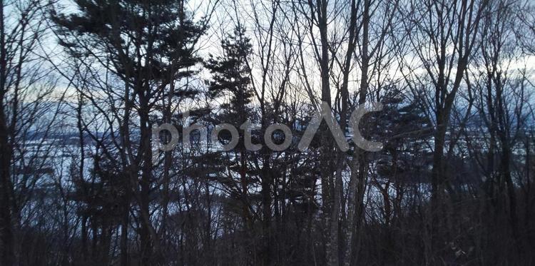 雑木林の風景 雑木林,雪,冬の写真素材