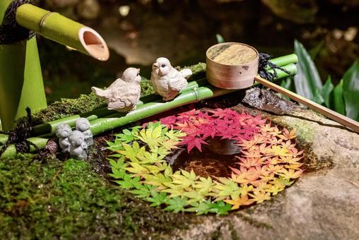 京都の紅葉花手水と竹細工が彩る和の景色 京都の紅葉花手水と竹細工が彩る和の景色 紅葉,秋,花手水の写真素材