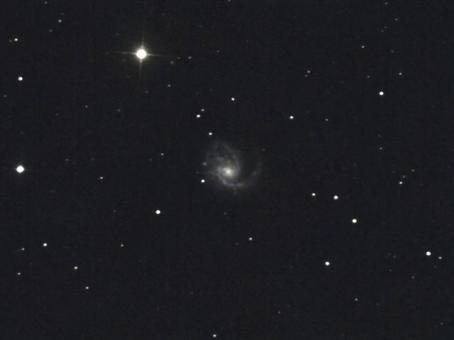 銀河(M99)・天体 銀河(M99)・天体の写真