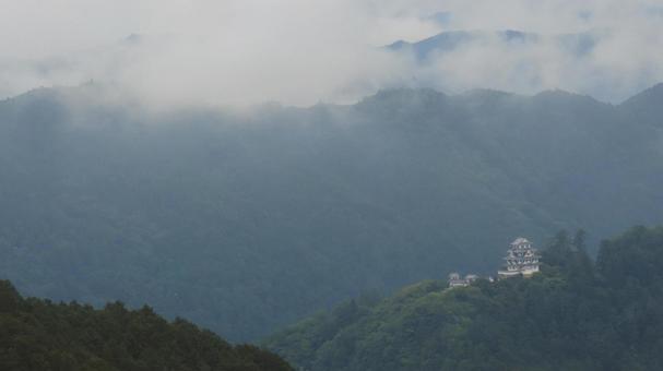 郡上八幡城 郡上八幡城の写真