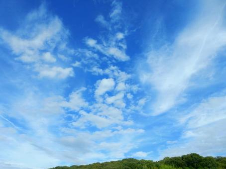 【空の写真】秋空 【空の写真】秋空 秋空,空,雲の写真素材