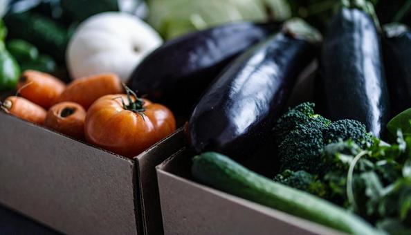 段ボールに入った野菜セット 段ボールに入った野菜セットの写真