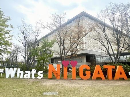 新潟市中央区の風景 新潟市中央区の風景 新潟,新潟市,新潟市中央区の写真素材