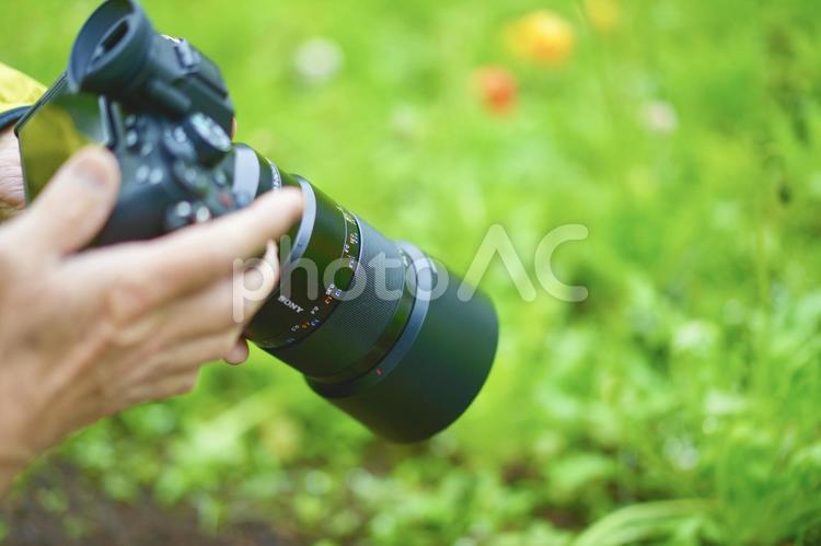 カメラで写真撮影をする人 春,花,可愛いの写真素材