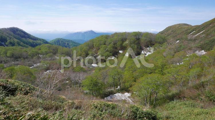 池ノ大沢の新緑 経ヶ岳,池ノ大沢,新緑の写真素材