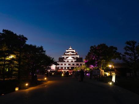 ライトアップされた岡山城天守閣 ライトアップされた岡山城天守閣 岡山城,ライトアップ,夜の写真素材