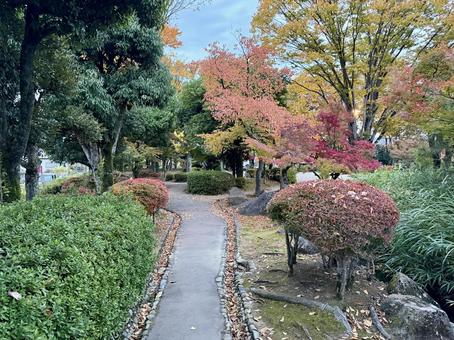 秋の夕方　福井県紫式部公園 夕方,夕暮れ,夕雲の写真素材