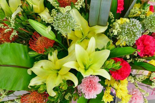 黄色のオリエンタル百合などの花束 黄色のオリエンタル百合などの花束 リューカデンドロン,カーネーション,スプレーマムの写真素材