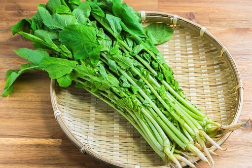 竹ざるに乗った葉大根 大根菜,野菜,葉大根の写真素材