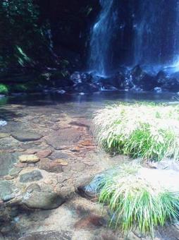 水辺 水辺の写真