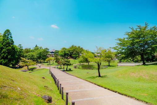 Photo, nara, temple, 2025, 