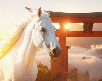 目出度い馬 目出度い馬の写真