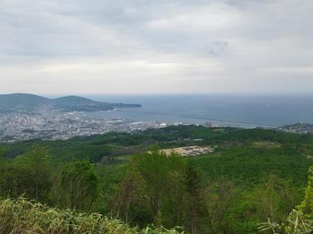 毛無山展望台の写真