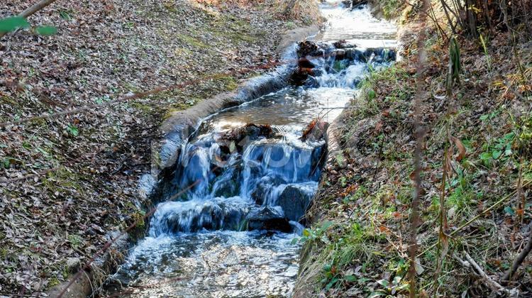 小川の流れ 小川,流れ,水流の写真素材