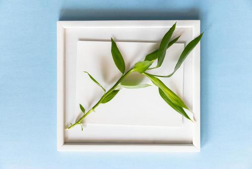 白いフレームと植物（水色背景） モックアップ,物撮り,フレームの写真素材