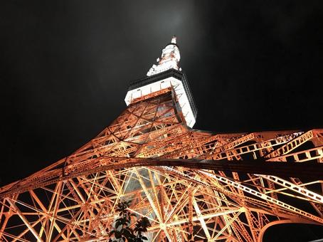 東京タワー 東京タワー 東京,東京タワー,ライトアップの写真素材