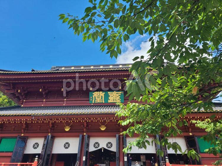 日光さん仏堂 寺,寺院,templeの写真素材