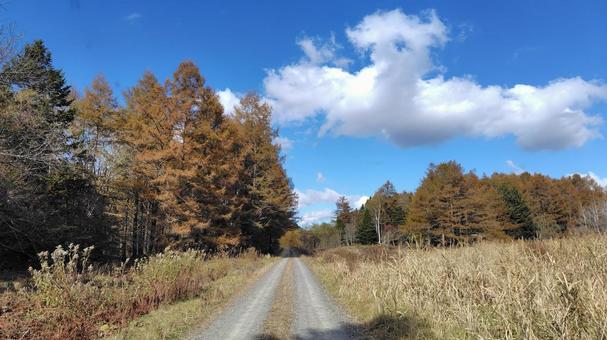 空と道 青空,空,道路の写真素材
